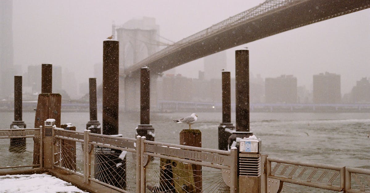 Roundup of Expert Tips for Recognising Chiller Maintenance Needs