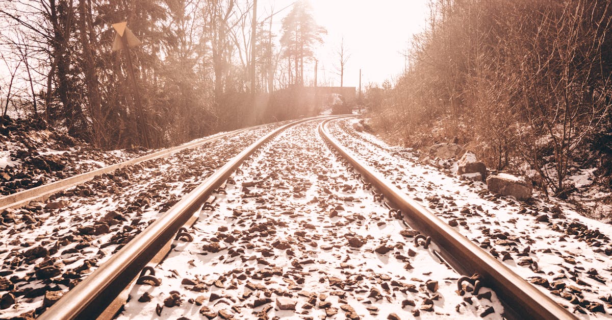 What to Include in a Routine Maintenance Checklist for Chillers